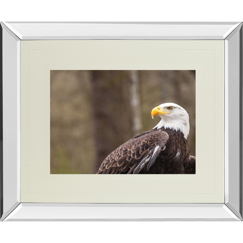 Majestic Eagle By Garytog Double Matted – Mirror Framed Wall Art – Red