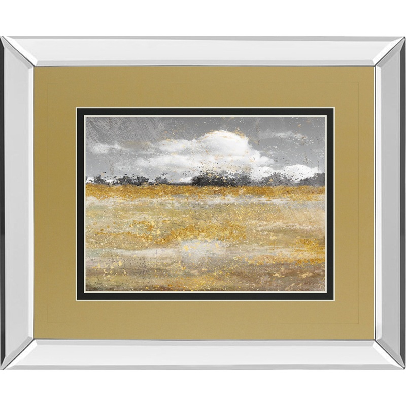 Meadow Shimmer Il By Nan – Mirror Framed Print Wall Art – Gold