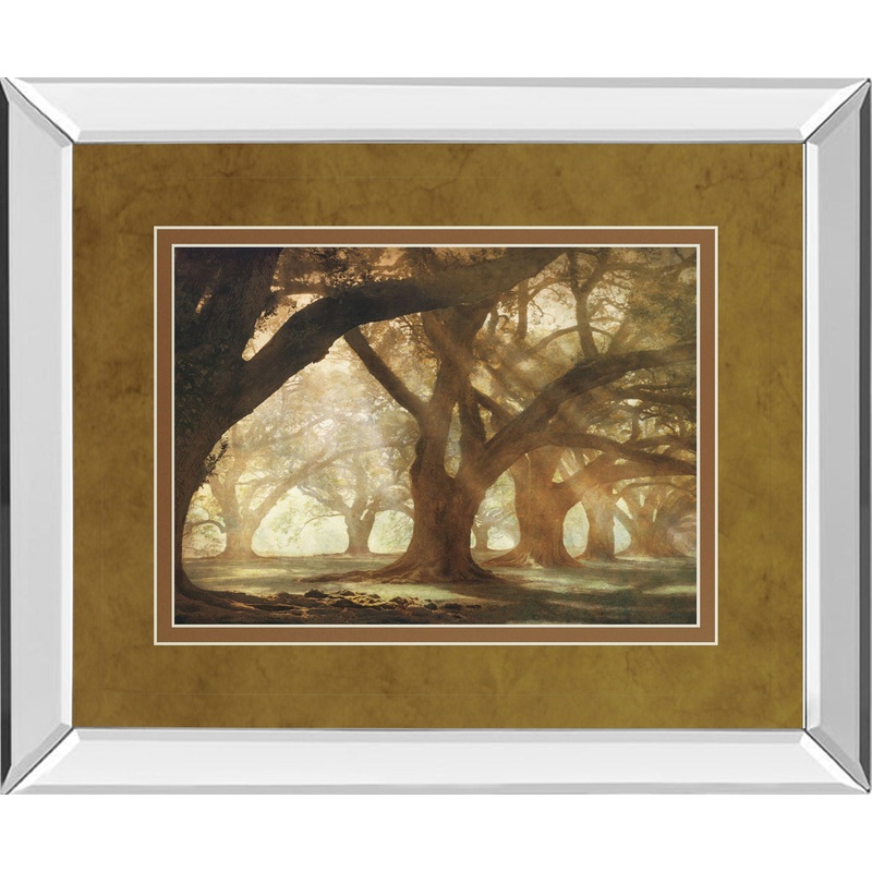 Oak Alley Morning Light By William Guion – Mirror Framed Print Wall Art – Dark Brown