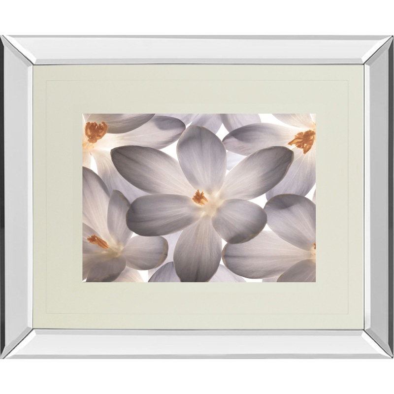 Petal Perfect By Assaf Frank – Mirror Framed Print Wall Art – Dark Gray