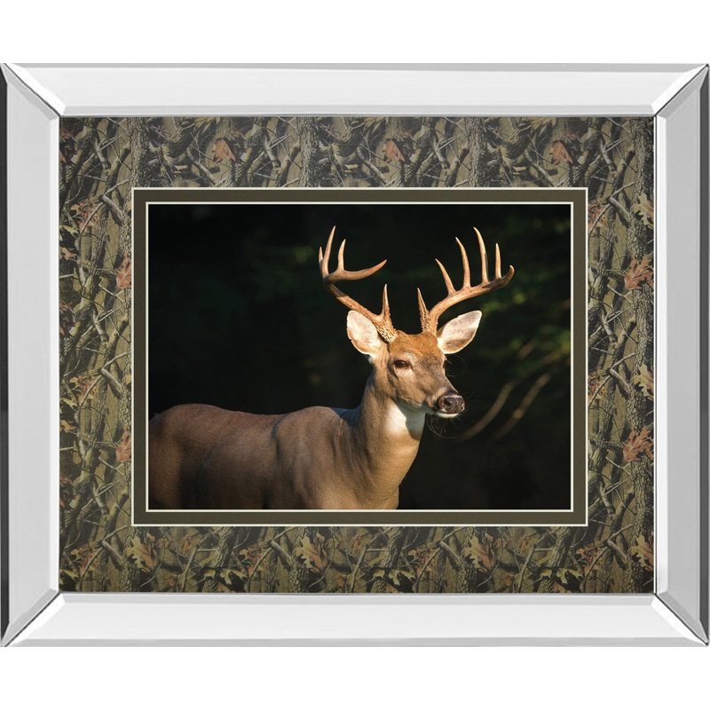 White Tail Buck By Tony Campbell Double Matted – Mirror Framed Print Wall Art – Black
